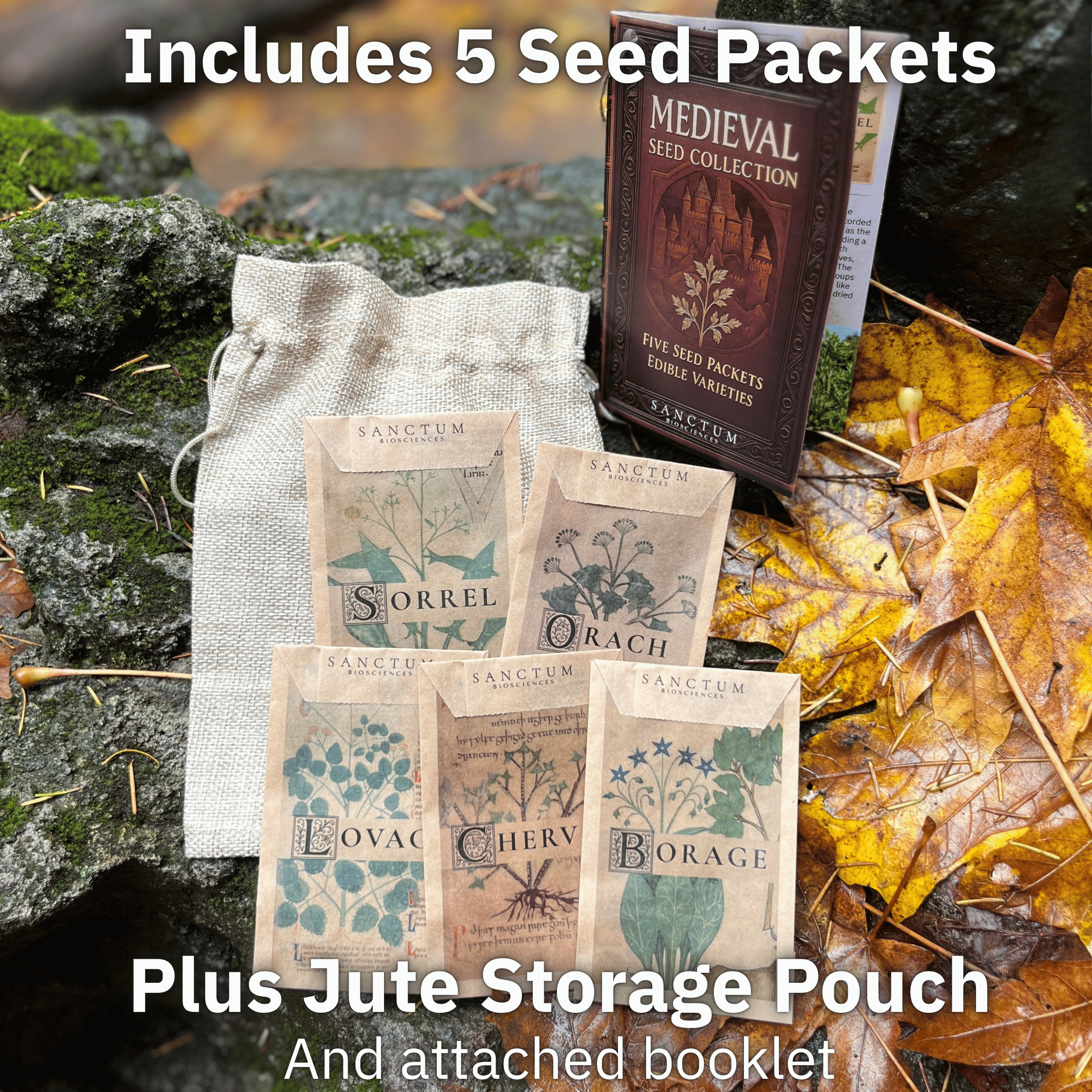 Medieval Seed Collection