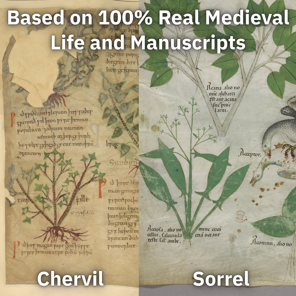 Medieval Seed Collection