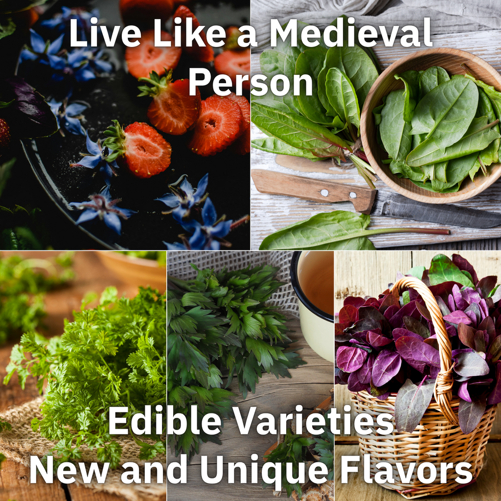 Medieval Seed Collection