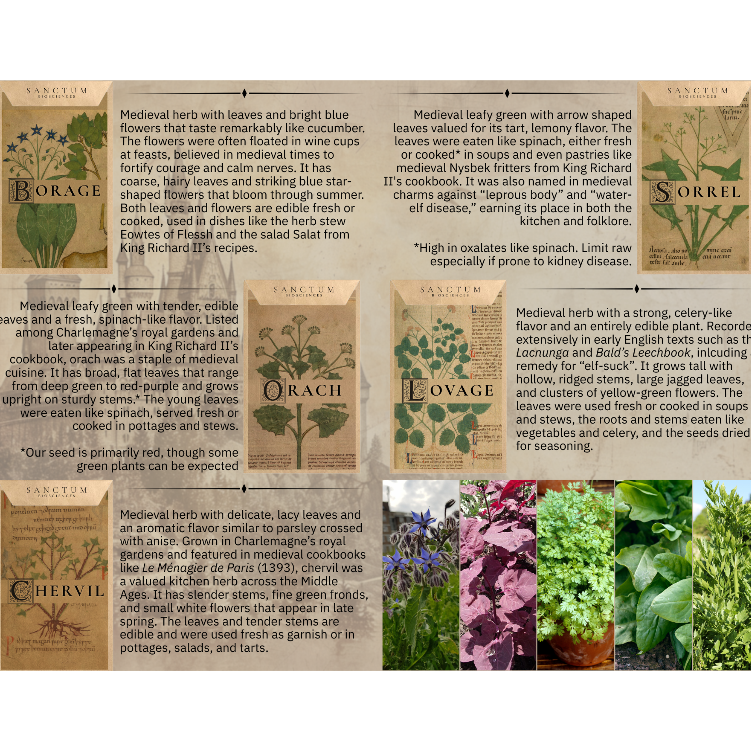 Medieval Seed Collection